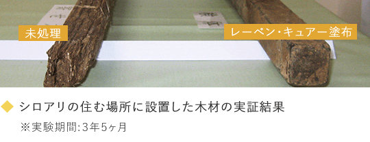 3_photo03